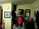 Fursuit Vid Tag - Wicked Sensitive Crew