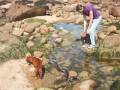 videos de Vic and Diesel at the beach