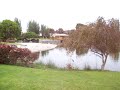 Parque Japonés 2 La Serena.MOV