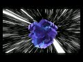 Atrium by TBC and Loonies