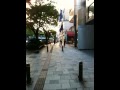 omote-sando cicada walk