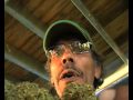 2008 Nimbin Cannabis Cup