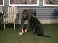 Ready Treat introduction