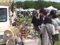 08/04/26・27 ロハスフェスタin万博公園 主催シティライフ