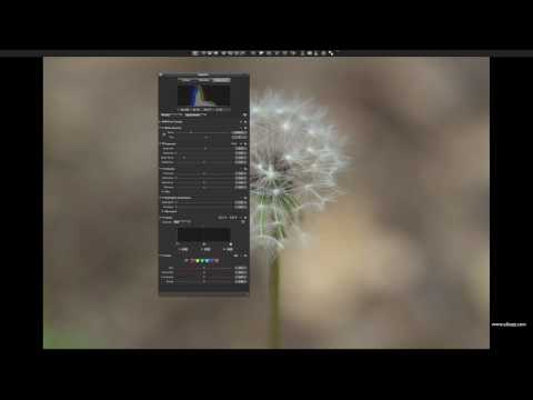 YouTube Preview Image