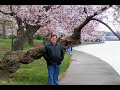 Cherry Blossom Featival 2008- Ann Murray's-Killing Me Softly