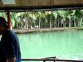 videos de Cruising Loboc River 8