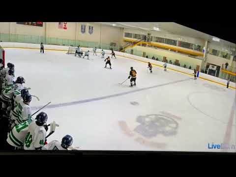 Jan 2025 Joe Right D moving puck and goal.