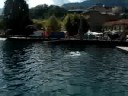 amici