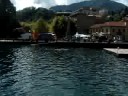 amici