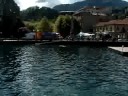 amici