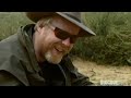 Mythbusters: Are elephants afraid of mice?