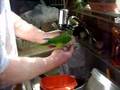 Lucky Bird, brown throat conure, helps with the dishes