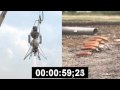 armadillo aerospace picnic