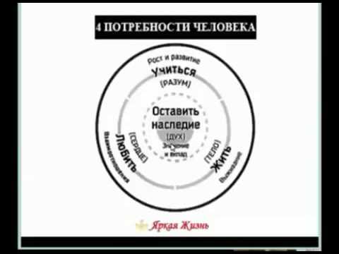 YouTube Трейлер