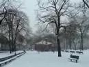 Bronx - It is a winter wonderland