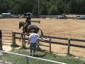 horse show2008