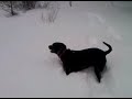 VID 00049-20091220-0858.3GP