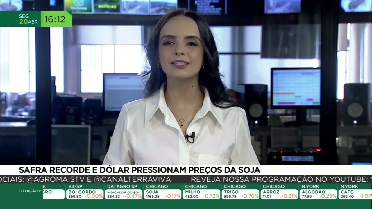 Safra recorde e dólar pressionam preços da soja