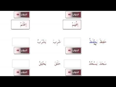 Elşən Şəkərov - Ərəb dili - İkinci kitab - (14-cü Dərs) - Mətn və tapşırıqlar Elşən Şəkərov - Ərəb dili - İkinci kitab - (14-cü Dərs) - Mətn və tapşırıqlar