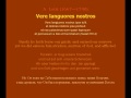A. Lotti — Vere languores nostros (MEPhI Male Choir)
