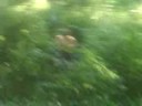 mike jumps in stingers 2