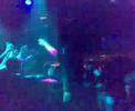 ClubDogo@CFC
