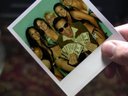 Polaroid