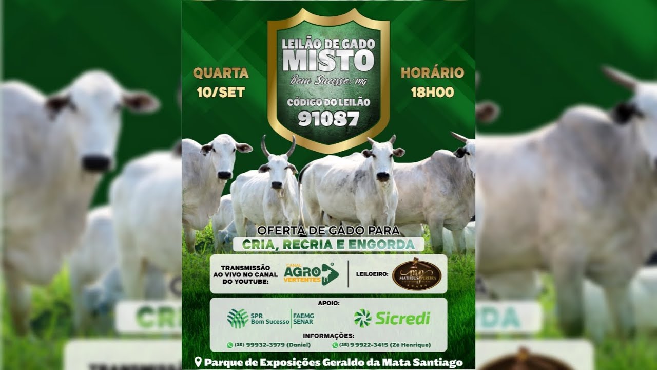 LEILÃO MISTO SINDICATO RURAL DE BOM SUCESSO E IBITURUNA - 10/09/2025
