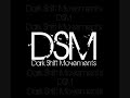 DSM - Skets 2