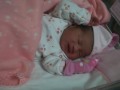 videos de Daniela Valentina Muñoz Casanova