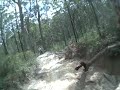 Mt mee Nov beginer ride 9 Mt mee Nov beginer ride 9
