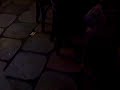 Jun 13 2009 VID00074