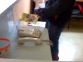 Trote secretaria
