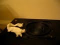 Homemade mini speaker Homemade mini speaker