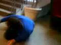 videos de Arab falls on the floor