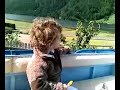 A passeggio con la Nera e la Lisa. San Valentino alla Muta.