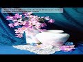 The Little Mermaid Ariels Beinnin wmv.mov