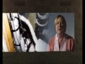 Mesothelioma treatment options Lung Cancer And Treatments