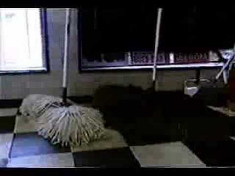 Dog Mop