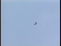 Mig-29 OVT(FVT). Exclusive flight  by P.Vlasov (part 2/5)