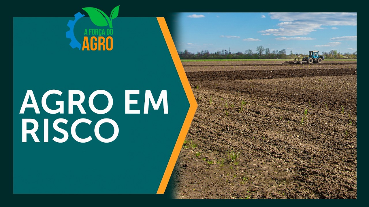 Abandono do Campo: A Crise Leiteira e o Risco à Segurança Alimentar | AFA, com Joice Maffezzolli
