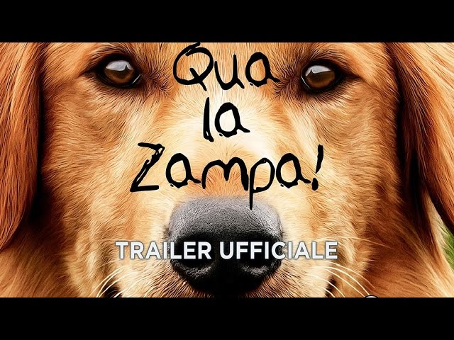 Anteprima Immagine Trailer Qua La Zampa!, trailer italiano