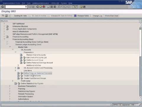 how to define fsv in sap