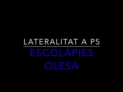 Imatge de previsualització de YouTube