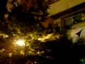 IN-POM-DE-LA-BALCON
