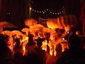 Carnaval Carni�res