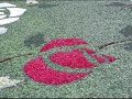 Alfombras Florales del Corpus - La Guardia 2008
