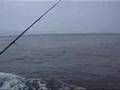 Rhyl Fishing Charter Boat, North Wales - Suveran 04/08/2006