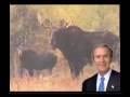 Moose Change